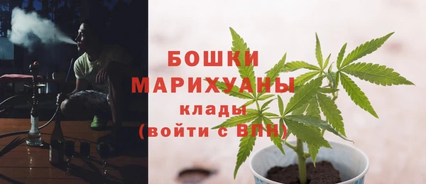 сатива Горно-Алтайск