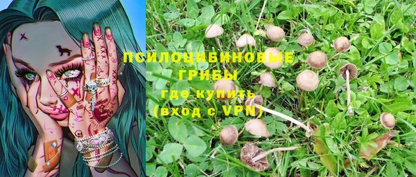 экстази Горнозаводск